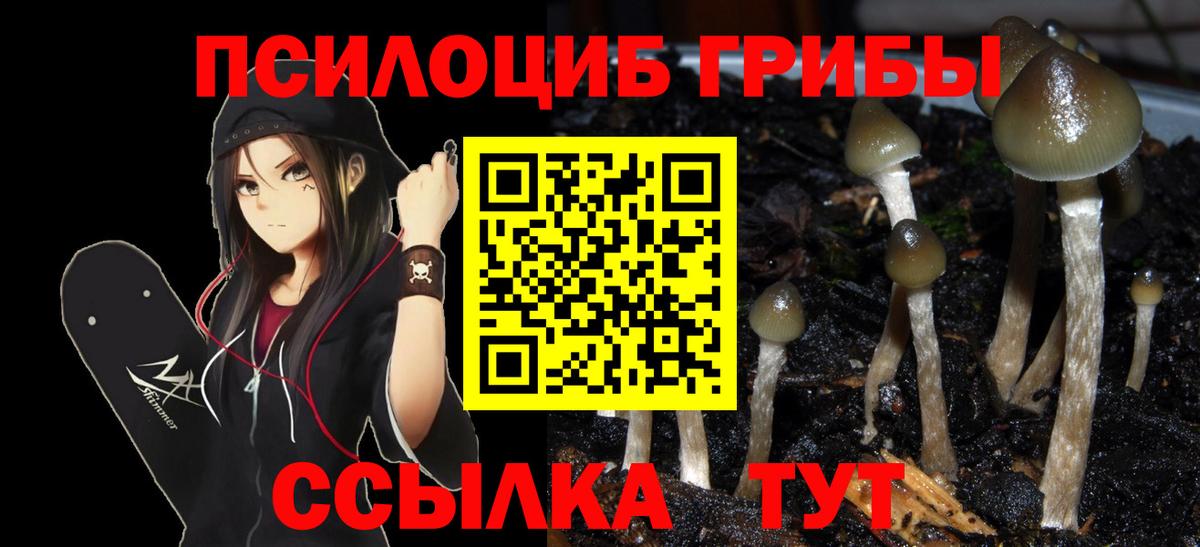 Псилоцибиновые грибы GOLDEN TEACHER Белебей